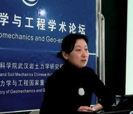 胡新麗[中國地質大學（武漢）工程學院教授，博導]