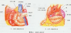 假性醛固酮減少症