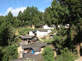 老秧田自然村 老秧田自然村