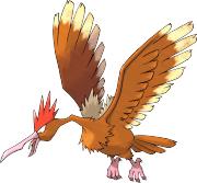 大嘴雀[燕雀科鳥類]