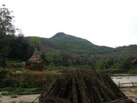 大竹坪村 大竹坪村