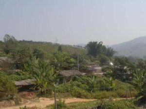 曼飛龍自然村 曼飛龍自然村