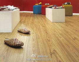 安徽國林木業有限公司 安徽國林木業有限公司