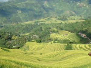 開良自然村 開良自然村