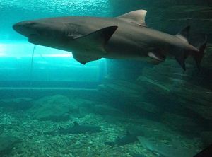 海州灣國家海洋公園