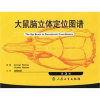 大鼠腦立體定點陣圖譜 大鼠腦立體定點陣圖譜