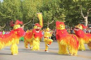 侍嶺舞獅 侍嶺舞獅