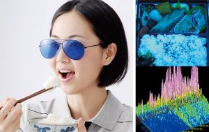 減肥眼鏡 減肥眼鏡