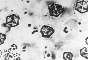 （圖）1965年9月16日