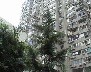 新陸花苑 新陸花苑