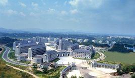 白銀鳳凰大學 白銀鳳凰大學