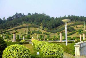 三水市森林公園