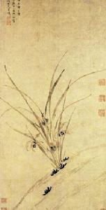 蘭花圖[周天球《蘭花圖》]