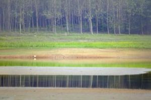 練子山水庫 練子山水庫