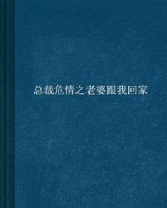 總裁危情之老婆跟我回家