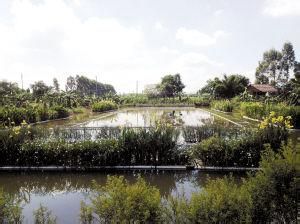 英列自然村 英列自然村