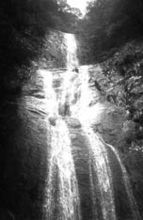 大峽谷生態公園 大峽谷生態公園