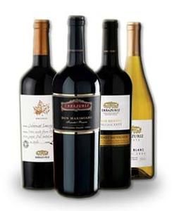 智利葡萄酒 智利葡萄酒