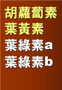 光合色素 光合色素