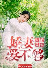 染愛成癮嬌妻愛不夠