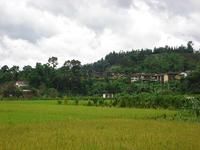 芒散自然村 芒散自然村