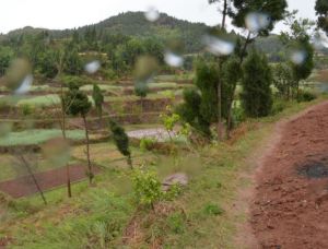 中國葛根谷 中國葛根谷