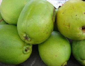 （圖）九河白族鄉