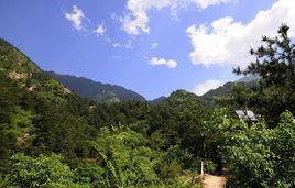松山國家森林公園 松山國家森林公園