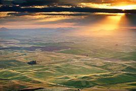 土壤環境保護 土壤環境保護