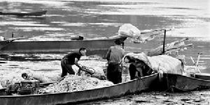 （圖）雲南陽宗海水體砷濃度超標