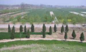 河南商丘帝嚳陵