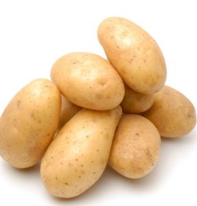 轉基因土豆