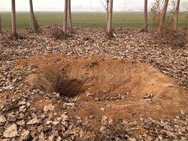 河南禹州6人團伙殺人案 河南禹州6人團伙殺人案