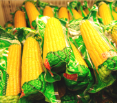 步步高商業連鎖股份有限公司