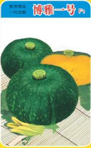 博雅一號 博雅一號