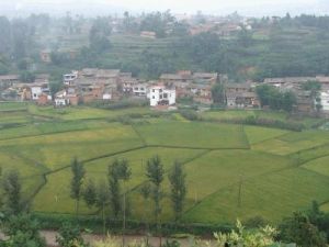 蜜蜂箐村 蜜蜂箐村