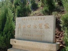 秦漢墓群 秦漢墓群