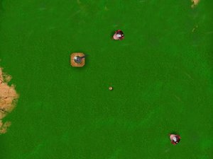 小坦克的戰場 小坦克的戰場