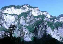 五龍口[河南省濟源市五龍口風景區]