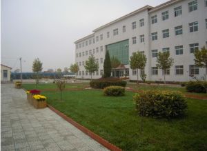 寧河縣北淮淀鄉北淮淀中學 寧河縣北淮淀鄉北淮淀中學