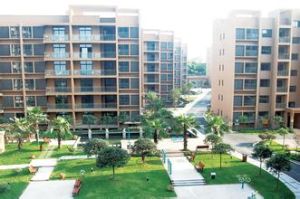 大石社區 大石社區