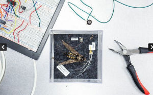 用於超前醫學研究的工具