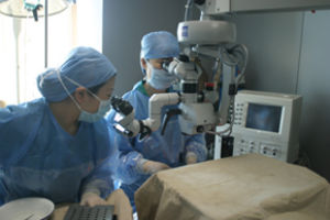 閃輝性玻璃體液化 閃輝性玻璃體液化