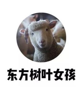 東方樹葉女孩 東方樹葉女孩