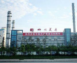 四川美豐化工股份有限公司 四川美豐化工股份有限公司