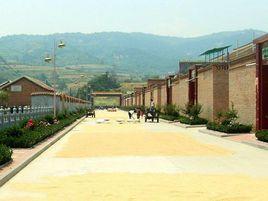 原莊村[河南滑縣瓦崗寨鄉下轄村]