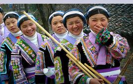 小花苗族 小花苗族