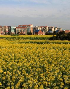 澄江鎮[重慶市]