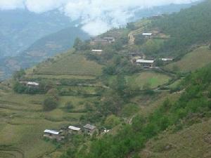 板栗箐村 板栗箐村