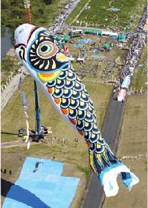 （圖）日本男孩節